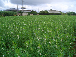 image003.jpg