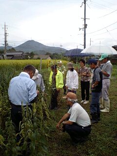 塩貝氏圃場.jpg