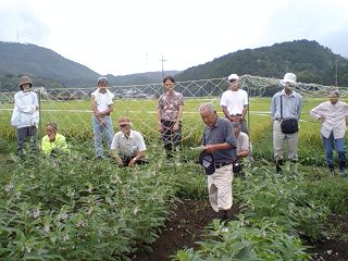 和久田氏圃場.jpg