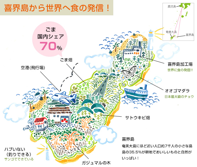 喜界島から世界へ食の発信 取り組み ごま油の山田製油