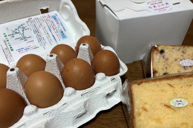 egg
