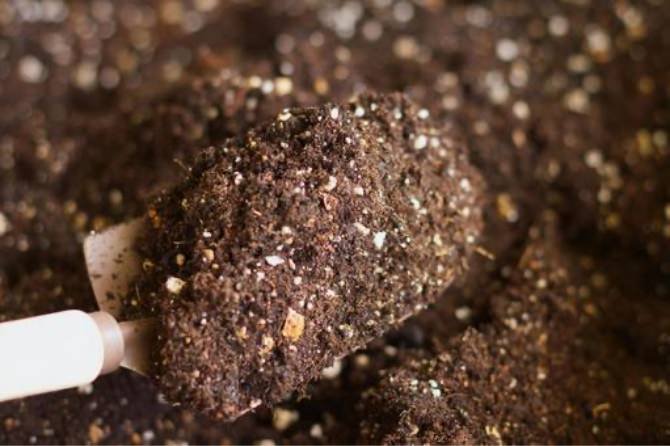 soil