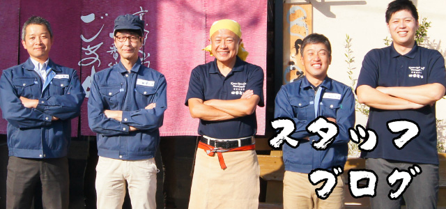 スタッフブログ