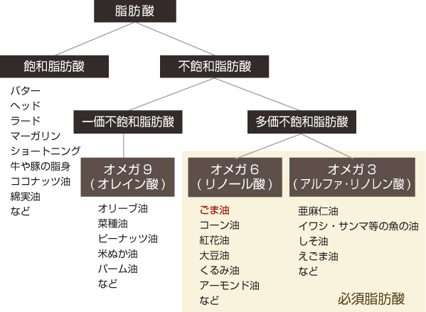 ごまの油分